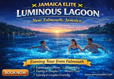 Luminous Lagoon in Falmouth