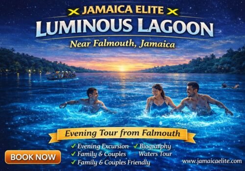 Luminous Lagoon in Falmouth