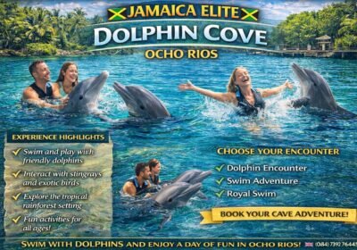 Dolphin Cove Jamaica – Ocho Rios