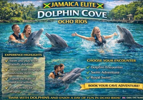 Dolphin Cove Jamaica – Ocho Rios
