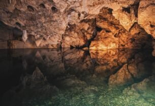 Gallery Thumbnail 7