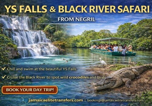 YS Falls & Black River Safari Adventure – South Coast Jamaica