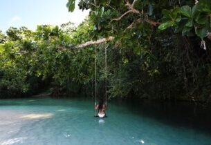 Gallery Thumbnail 2