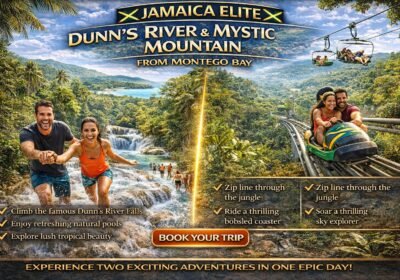 Packaged Tour Dunns Rivers Adventure Park and Mystic Mountain from Montego Bay