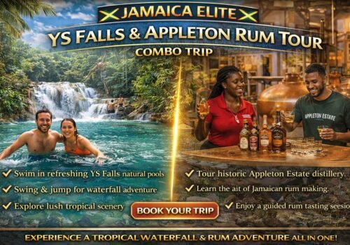 YS Falls and Appleton Rum Tour Montego Bay– South Coast Jamaica