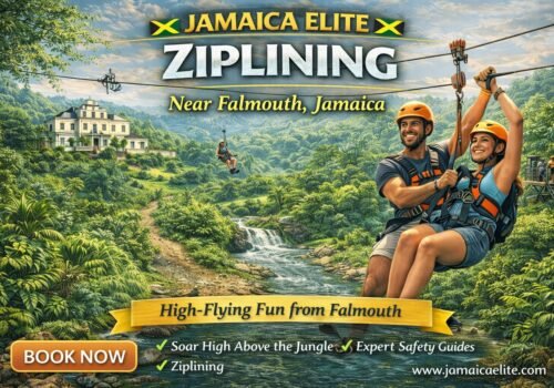 Adventure & Zip-Lining Tours – Falmouth