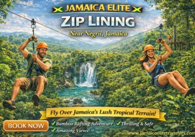 Adventure & Zip-Lining Tours – Negril
