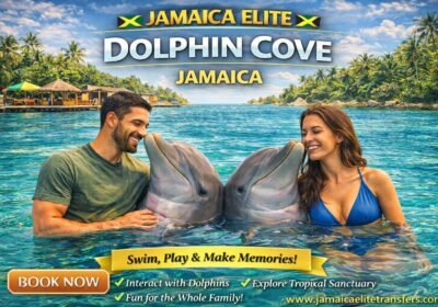 Dolphin Cove Jamaica – Negril