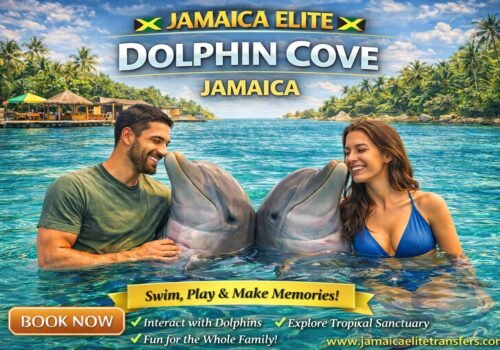 Dolphin Cove Jamaica – Negril