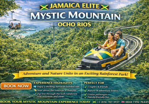 Mystic Mountain – Jamaica’s Premier Rainforest Adventure Park