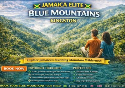 Blue Mountain Coffee & Scenic Tour – Jamaica