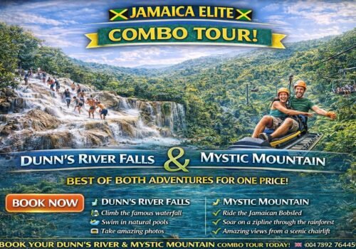 Packaged Tour Mystic mountain and Dunns Rivers Adventure Park