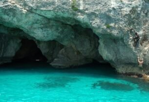 Gallery Thumbnail 2