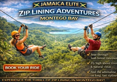 Adventure & Zip-Lining Tours – Montego Bay