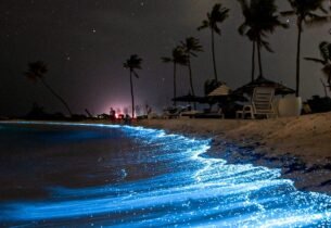 Gallery Thumbnail 5