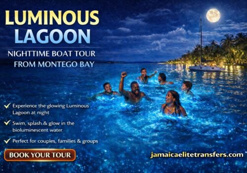 Luminous Lagoon in Montego Bay